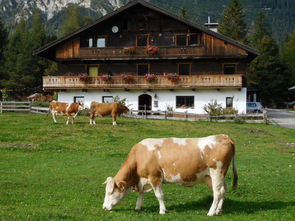 Apartmán Thoamlhof Leutasch Exteriér fotografie